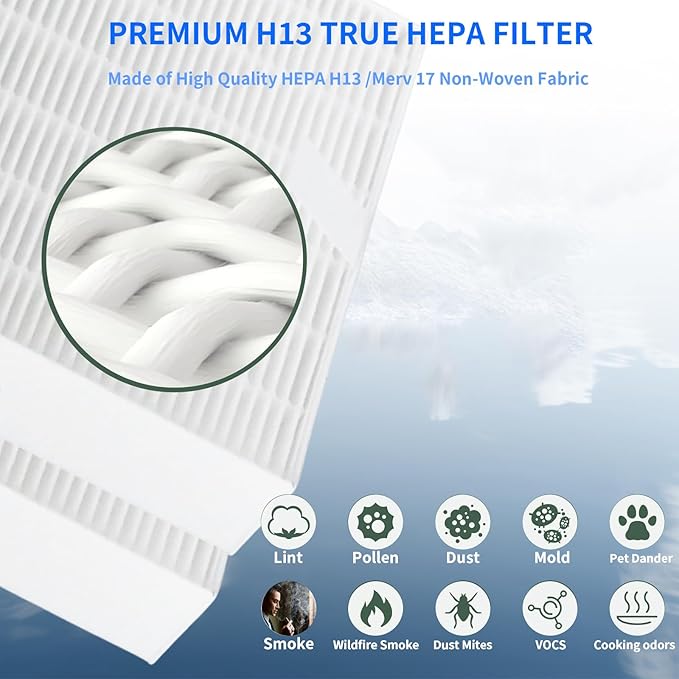 HPA5200B/HPA5250Air Purifier Replacement HEPA Filter Kit Compatible with Honeywell InSight Air Purifiers Model#HPA5200B/HPA5250,2Premium True Hepa Filter+2Enhancement Carbon Filters+4Carbon PreFilters