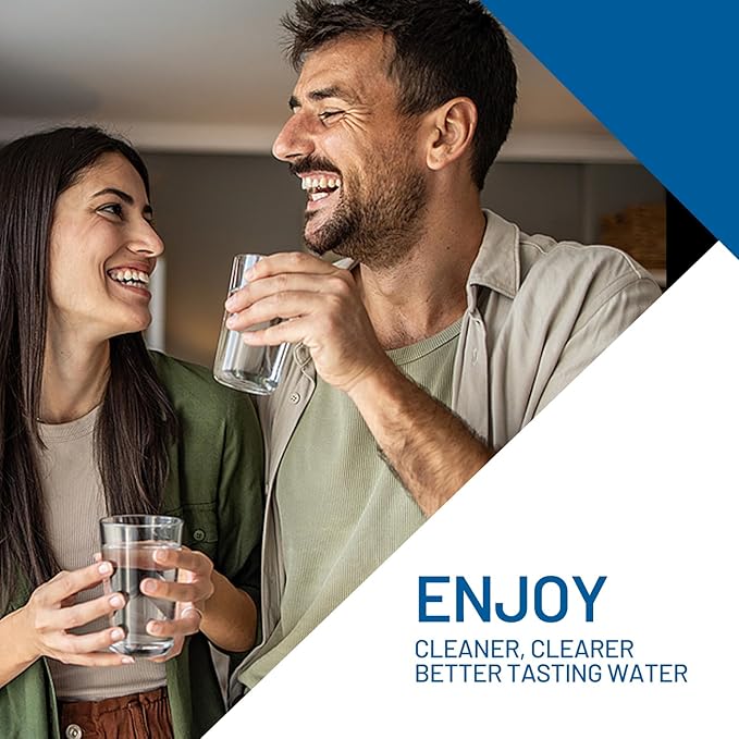 5 Micron 10" x 2.5" Whole House Carbon Block Sediment Water Filter Cartridge Replacement for AO-WH-PRE-RCP2, SCWH-5, WHKF-WHWC, FXWTC, FX12P, WFPFC8002, WFPFC9001, 3WH-STDCW-F02, W5CIP (Pack of 2)