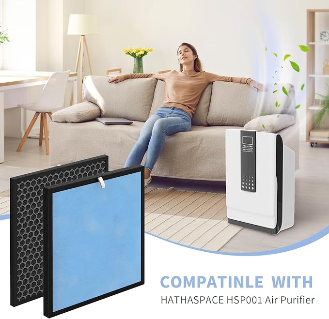 HSP001 Filter Replacements, 2 Pack