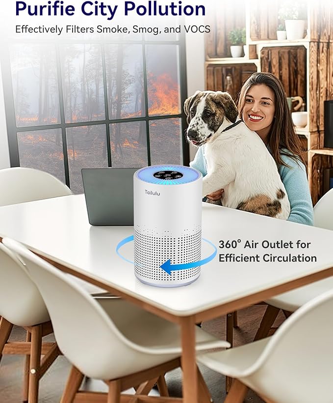 Air Purifiers for Bedroom Home Pets 1200 Ft², Tailulu H13 True HEPA Air Filter Portable Air Purifier with 12dB Sleep Mode, Speed Control, Timer, Quiet Air Cleaner For Odor Dust Smoke Pollen AP050