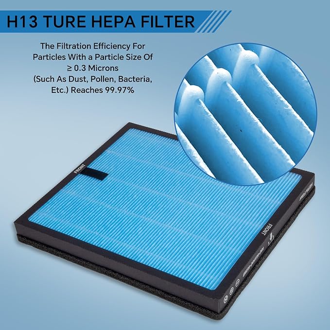 HAP603 HEPA Air Filter Compatible with ECOSELF HAP603 HAP603WF Air Purifier, H13 High Efficiency Activated Carbon Filter 4 Packs