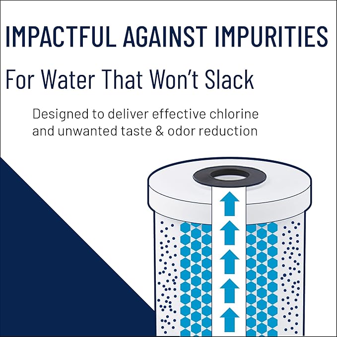 Pentair Pentek GAC-BB Big Blue Carbon Water Filter, 10-Inch, Whole House Heavy Duty Granular Activated Carbon (GAC) Replacement Cartridge, 10" x 4.5", Pack of 2