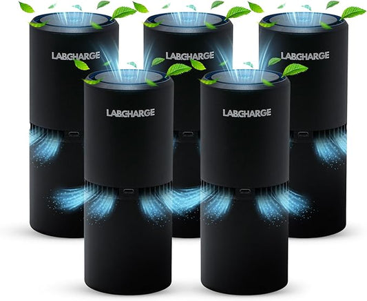 LabCharge Small Ionic Air Purifier for Home & Bedroom – Silent HEPA Filter – Covers 250 Sq Ft - Free Cleaner for Pets, Hair, Smoke, Dust, Odors & Dander – Compact & Black Design - Pack of 5