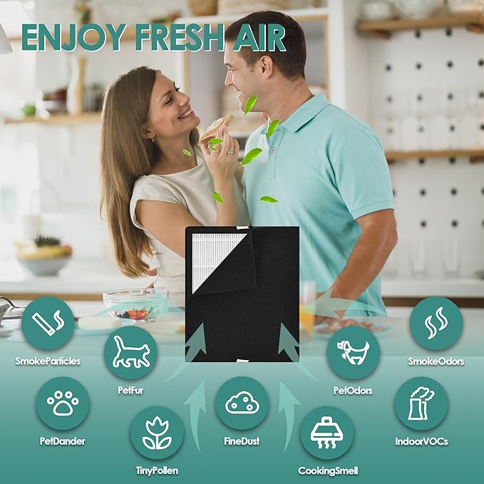 Idylis Air Purifier Replacement Filter A for Filtrete FAP-C01-A and Idylis AC-2119 IAP-10-100 IAP-10-150 IAPC-40-140 Air Purifier with Idylis Filter IAF-H-100A Size A, 2 H13 HEPA & 4 Carbon Pre-filter
