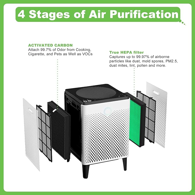 Airmega Max2 400/400S Filter Replacement, Compatible with Coway AIRMEGA Max2 400/400S/400(G)/400S(G) Air Purifiers, Max2 True HEPA & Activated Carbon Filter, Part#AP-2015-FP, 1 Set