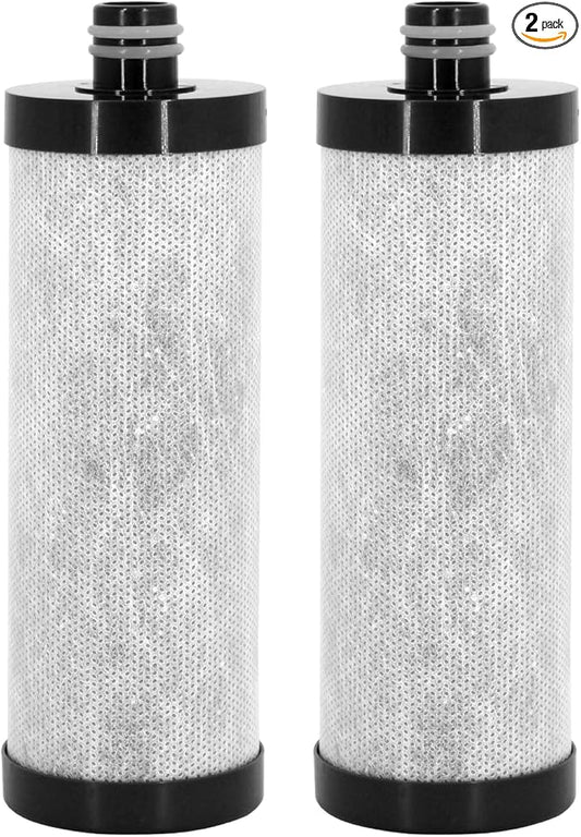 Lifefilter Carbon Shower Head Filter, 2.0 Carbon Shower Filter removes chlorine, heavy metals and other impurities from the water, improving dry skin and hair (2 Pack)