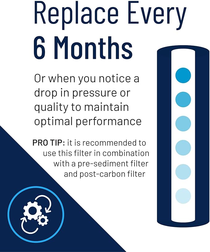 Pentair Pentek RFFE20-BB Big Blue Water Filter, 20-Inch, Whole House Radial Flow Iron Reduction Replacement Cartridge, 20" x 4.5", Pack of 2