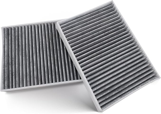 RUITO Cabin Air Filter Fits X5, X6, X7, 530E, 530i, 540i, 740i, 750i, 840i, M5, M8, Replacement for CF12501, PC99244, 64119366401