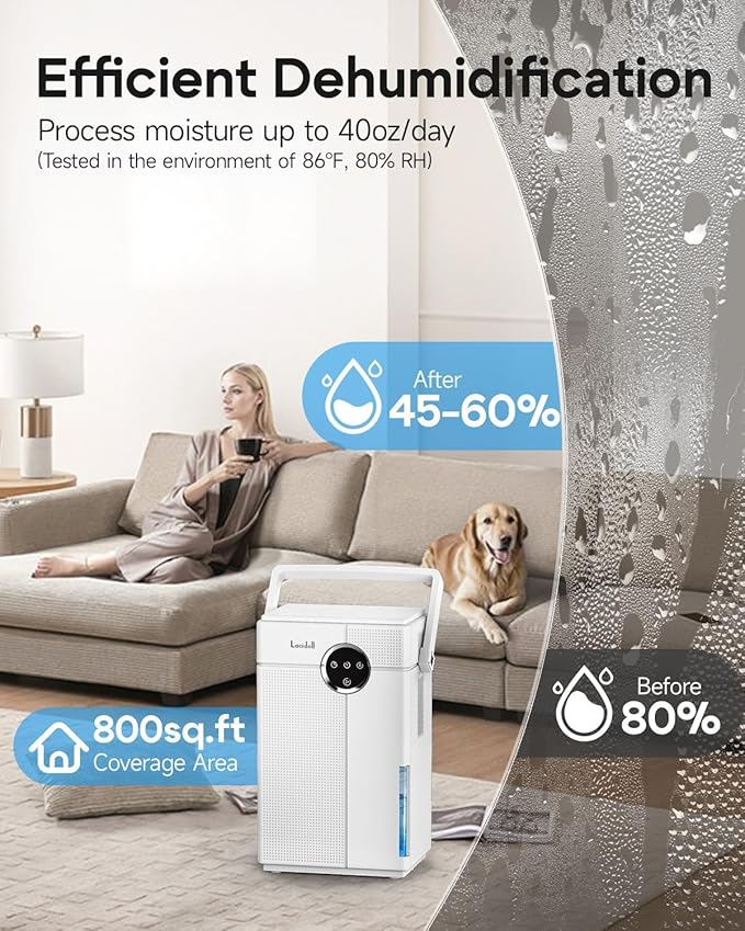 Small Dehumidifier with Drain Hose, Portable Dehumidifier for Bathroom, 118oz Dehumidifiers for Home 800 sq ft with 7 Colorful Light, Quiet Dehumidifiers for Bedroom RV Closet Basement,White