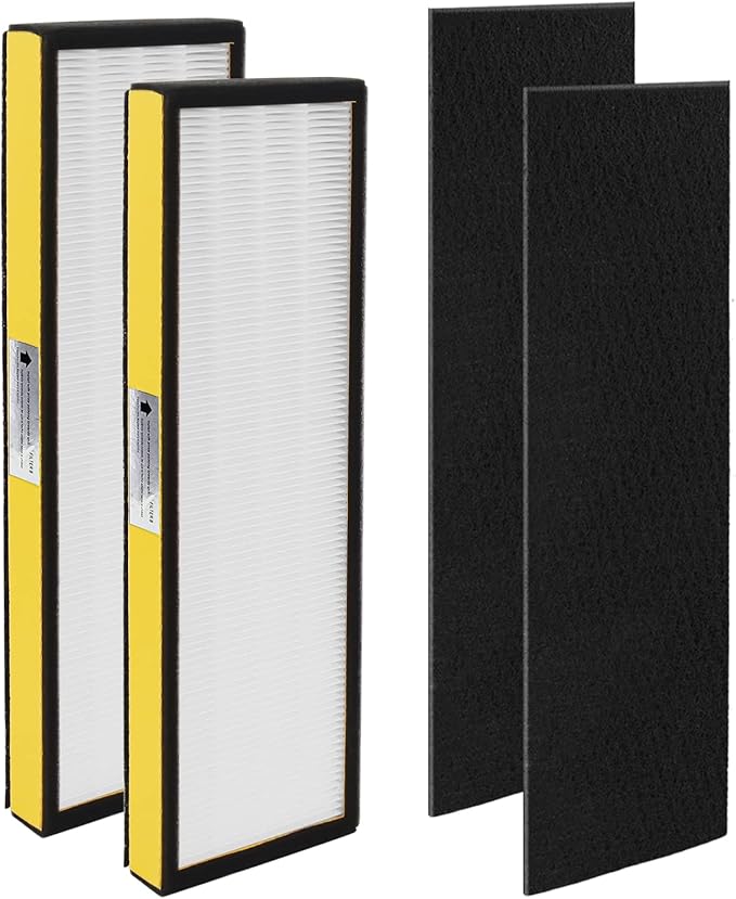 FLT4825 Replacement Filter B Replaces AC4825 AC4825DLX AC4825E replacement filter (FLT4825 hepa filter b replacement Pack of 2 x HEPA Filters + 2 x Carbon Pre-Filters) by Blutoget