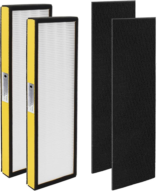 FLT4825 Replacement Filter B Replaces AC4825 AC4825DLX AC4825E replacement filter (FLT4825 hepa filter b replacement Pack of 2 x HEPA Filters + 2 x Carbon Pre-Filters) by Blutoget