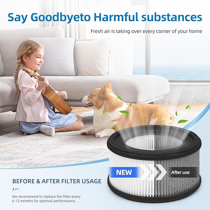 Z-1000 Replacement Filter Compatible with TruSens Z-1000 Air Purifier,H13 Activated carbon,Model AFH-Z1000-01 2 Pack