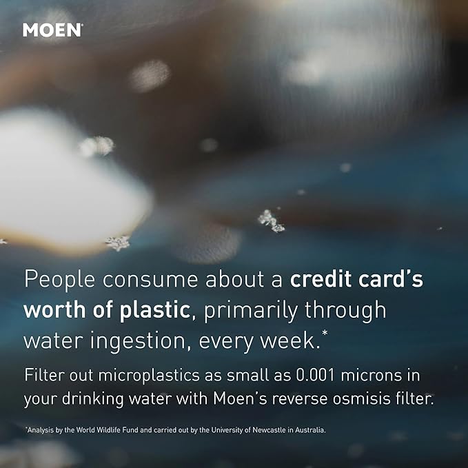 Moen 4-Stage Under Sink Reverse Osmosis Advanced Water Filtration System Stage 1 Replacement Filter, F9910