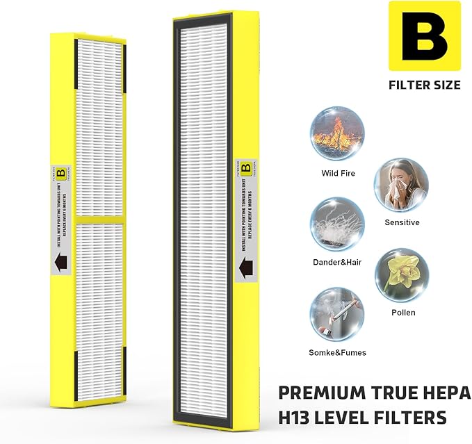 2 Pack FLT4825 HEPA Replacement Filter B Compatible With Guardian Air Cleaner Purifier AC4825 AC4300 AC4800 AC4900 AC4850, 2 Pack HEPA Filter B with 6 Carbon filters