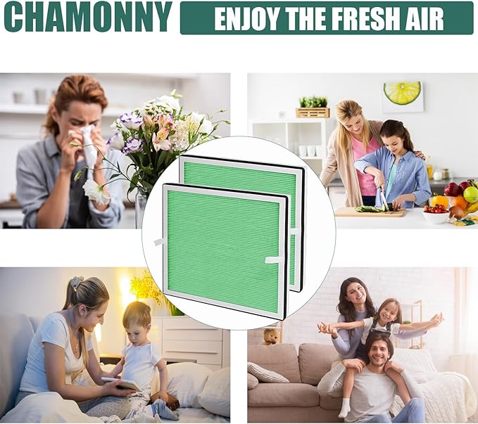 Europa Toxin Remover Filter Replacement, Compatible with Afloia Europa Air Purifier, 3-in-1 H13 True HEPA Filter and Toxin Remover Filter, 2 Pack (Europa Green)