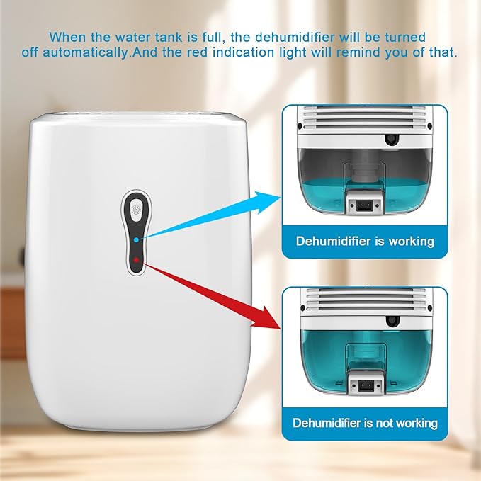 Dehumidifier with Drain Hose. Litever Small Portable Dehumidifier. Auto-OFF. Drain Hose for Continuous Drainage. Effective for Small Bathroom Pantry Closet Basement Wardrobe Gun safe RV Trailer Camper