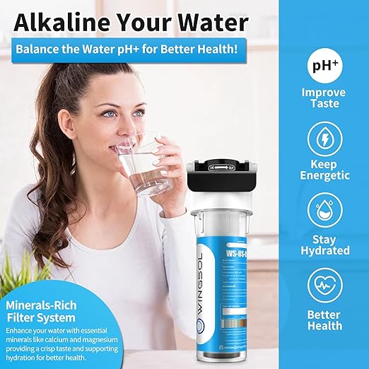 WINGSOL Under Sink Alkaline Water Filter with Faucet, Improves and Taste, 5-in-1 Function Reduces Heavy Meatal, Chlorine, PFAS, PFOA/PFOS, Odor, Sediment, NSF/ANSI 53&42 Certified Water Filter