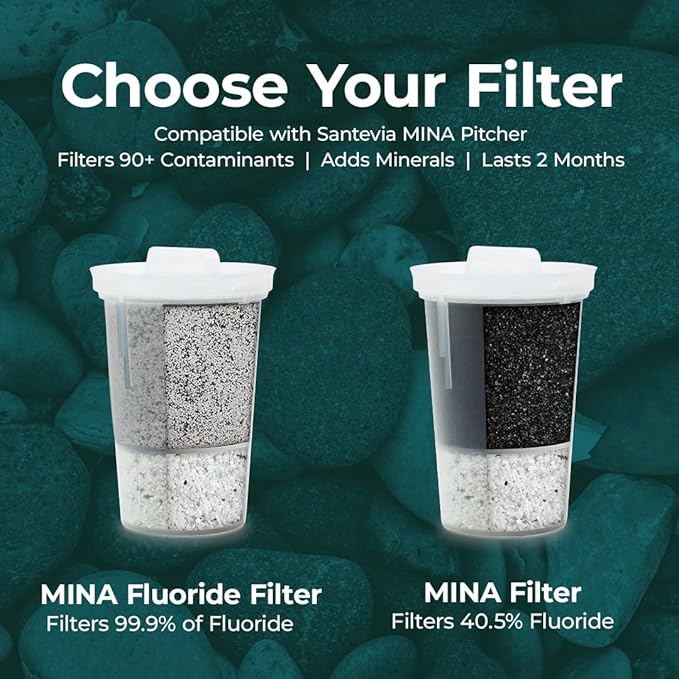 Single Replacement MINA Alkaline Water Fluoride Filter by Santevia | Single at Home Water Pitcher Filter Adds Minerals | Fluoride, Chlorine & Lead Filteration | American Filtration Media