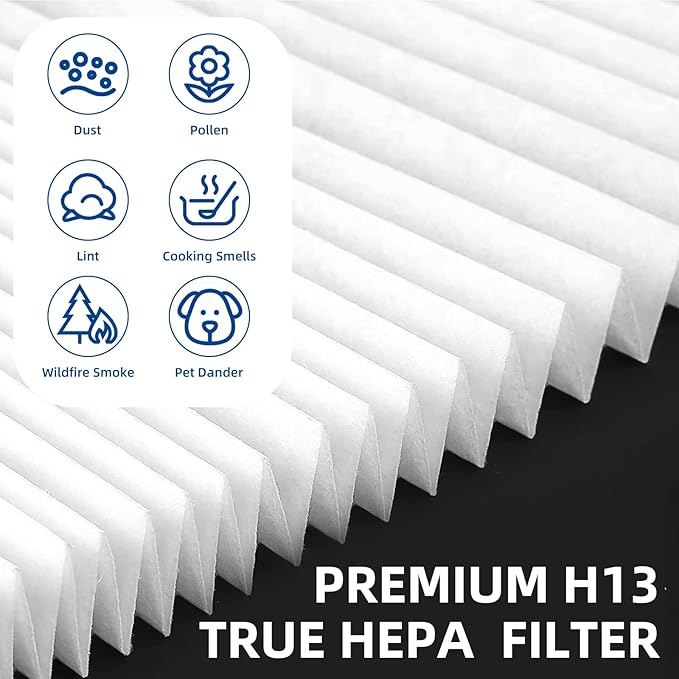 116130 Replacement Filter H for Winix 5500-2 5510 AM80 Air Purifier, 2 Pack H13 TRUE HEPA and Activated Carbon Filter by APPLIANCEMATES