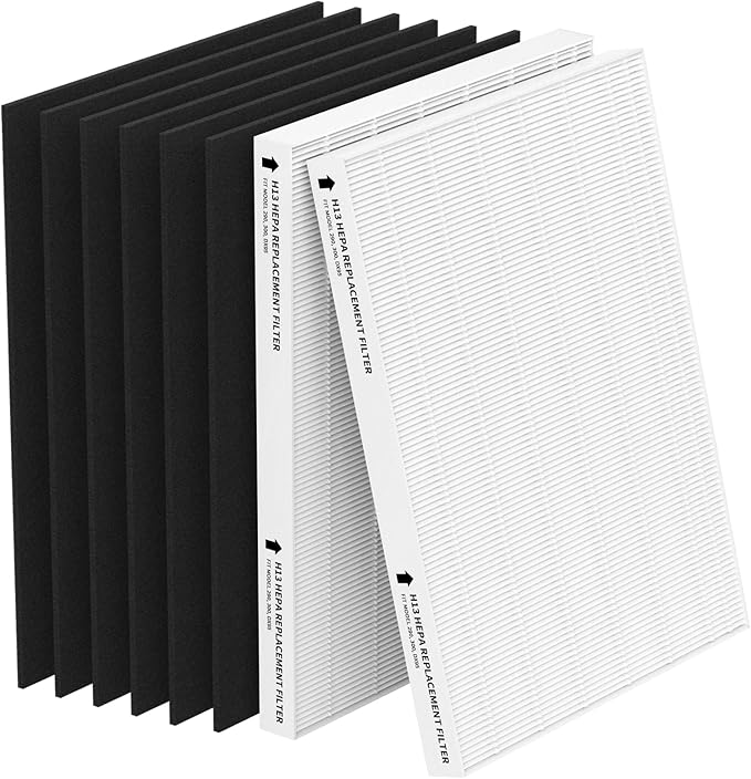 2 Pack Replacement Filter for Fellowes AeraMax 290/300/DX95 Purifiers and HF-300/AP-300PH, Fits Part# 9287201 & 9324201, 2 Filter and 6 Carbon Filter