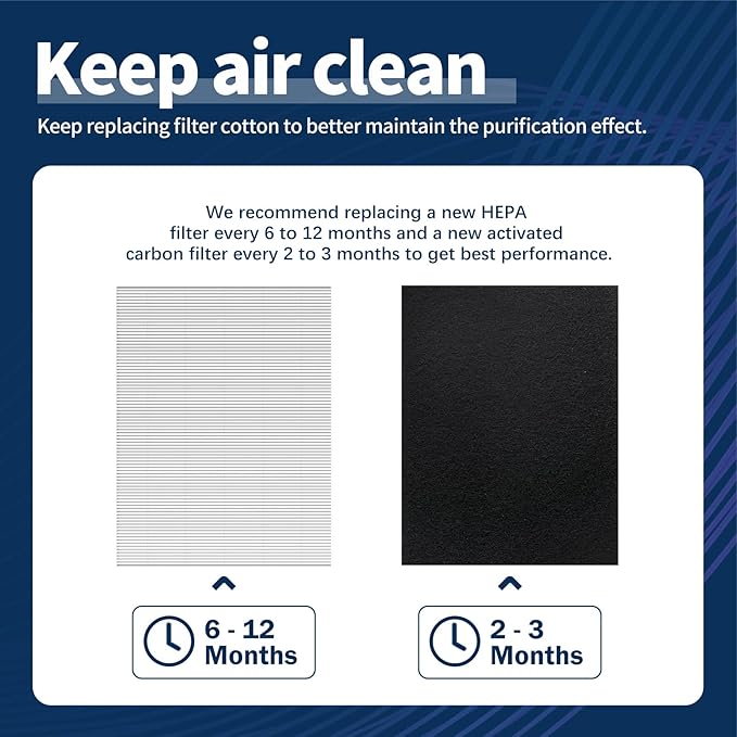 115115 HEPA Replacement Filter A for Winix Plasmawave Air Purifier C535 5300 5300-2 6300 6300-2 P300 AM90 C909 9800, 2 True HEPA Filters + 8 Carbon Pre-Filters