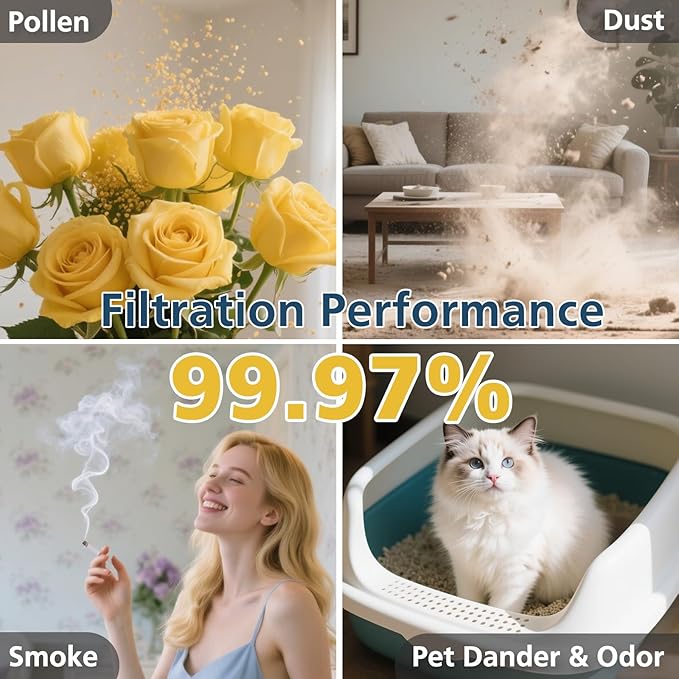 Model 22 Filter Replacement for MA Series Air Purifier, 3-Stage Filtration with Efficient HEPA and Granular Activated Carbon, White, 2-Pack