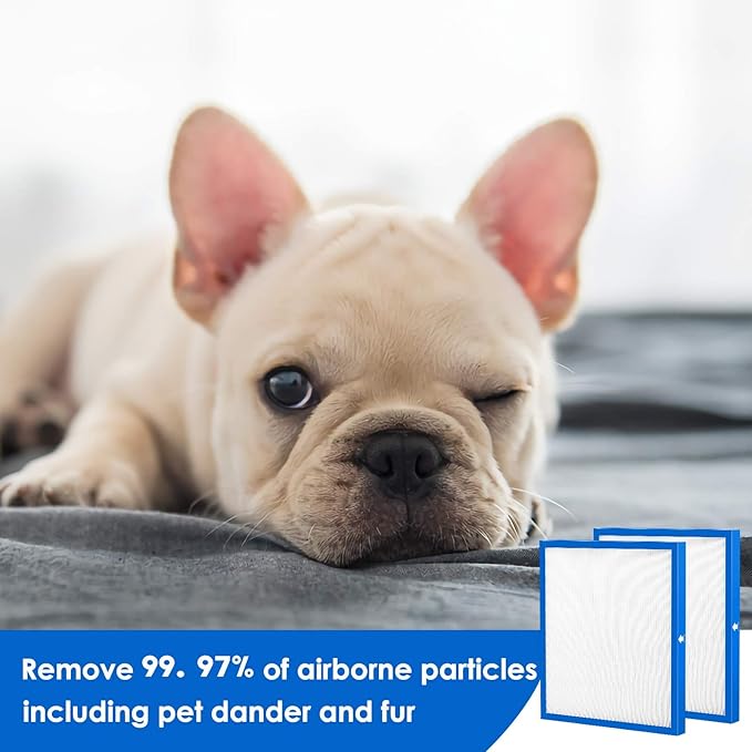 Cabiclean 2 Set Replacement Filter Compatible for HoMedics AF-20 AF-25 AP-20 AP-25 AF-20FL AF-25FL