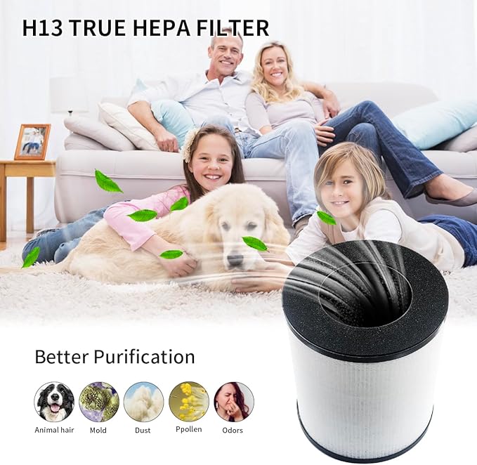 WuYan Replacement Filter Compatible with Cool-Living CL-6070A Beaba, Tredy TD-1300,3-in-1 H13 True HEPA Filter