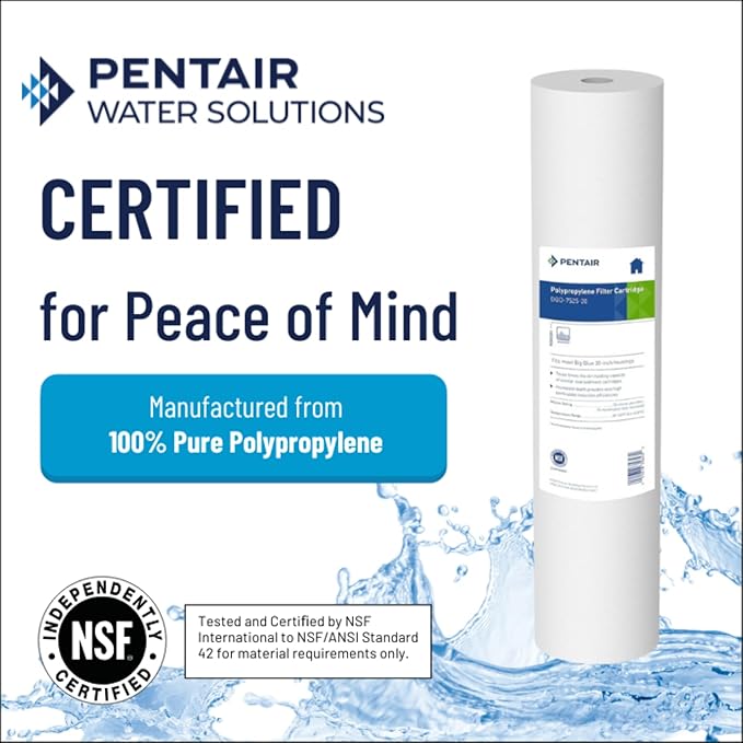 Pentair Pentek DGD-7525-20 Big Blue Water Filter, 20-Inch Whole House Sediment Filter Cartridge Replacement, Dual-Gradient Density Spun Polypropylene, 20" x 4.5", 25 Micron, Pack of 2, White