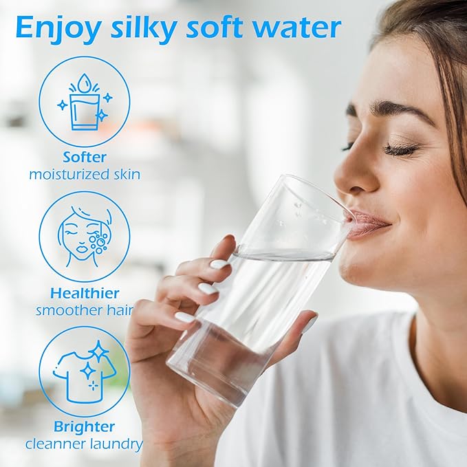 Time Type 5600SXT Water Softener Control Head, 110V Water Softener System Filter Control Head, Electronic Water Softener Valve, Inlet/Outlet DN25, Complete Accessories