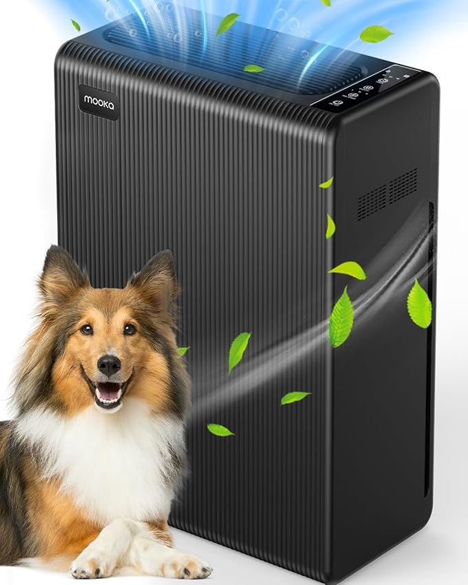 Air Purifiers for Home Large Room up to 2000ft², H13 HEPA Air Filter for Pets Hair Dander Smoke Pollen Dust, Non-Ozone, Portable Air Purifiers for Bedroom Office Living Room, E-300L(Black)