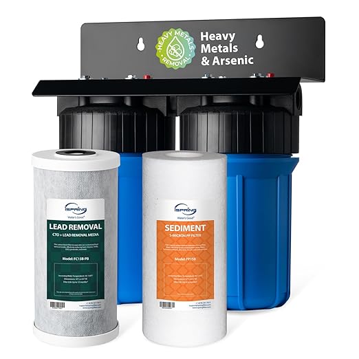 iSpring WGB21B-CPB 2-Stage Whole House Water Filtration System Reduces Arsenic, Cadmium, Mercury, Sediments, Chlorine, and up to 99% Lead, 1" Inlet/Outlet Ports