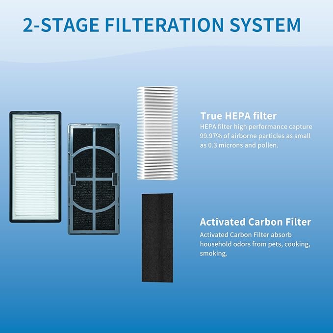 A/D/H Replacement Filter, Compatible with Filtrete FAP-TT-ADH and Holmes HAP9243/HAP9415/HAP9423 Air Purifier, Compare to Honeywell HPA060(BWM), 2 Pack (ADH-CARBON)
