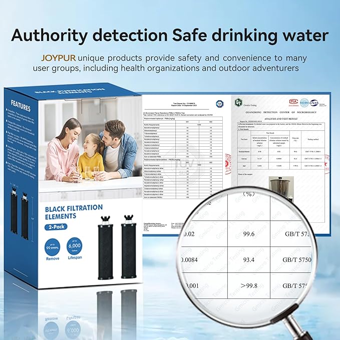 PBF-2-1 Black Purification Elements,NSF/ANSI 42&372 Certified fluoride Water Purifier Replacement Filters - Compatible with Gravity Filter System,King, Big Series (2&2 Pack)