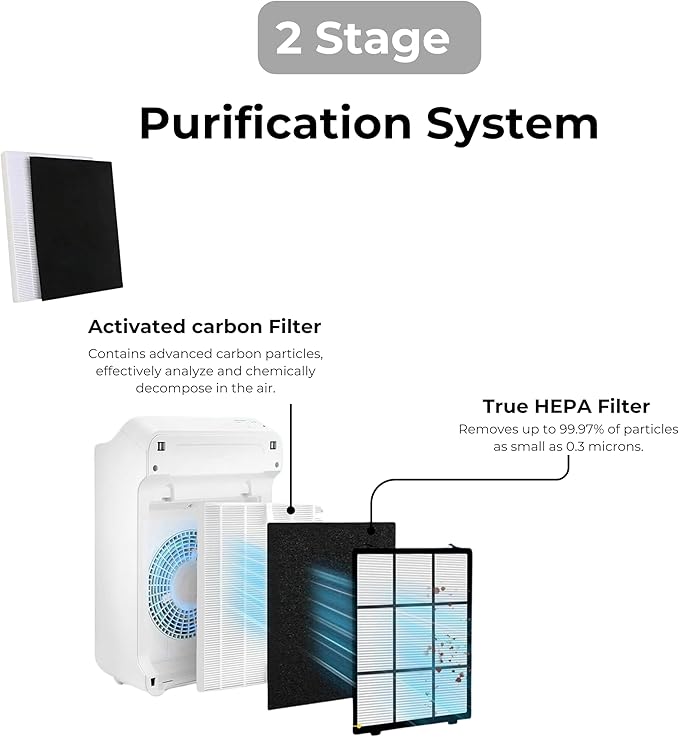 Nispira C545 HEPA Filter Replacement Ture HPEA For Winix C545 Air Purifier, P150, B151, 9300, Part Filter S 1712-0096-00 & 2522-0058-00, 113050 2 Sets