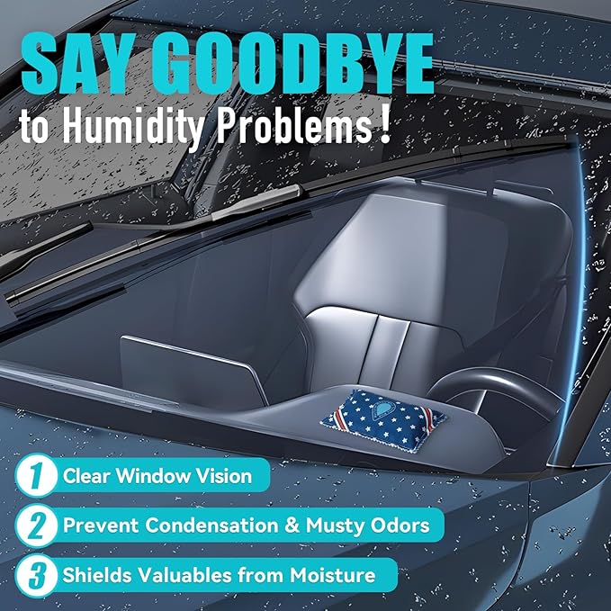 Rechargeable Dehumidifier Bags (2 x 200g) Microwave Reactivated Silica Gel Desiccant Window Condensation Absorber Reusable Moisture Absorbers for Car, Gun Safe, Closet, Garage Storage