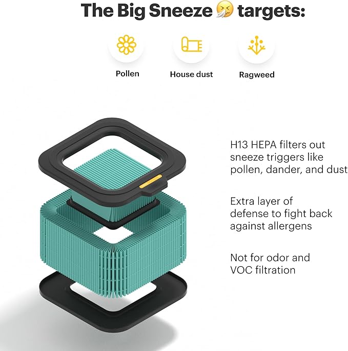 Mila Air Authentic Big Sneeze H13 HEPA Home Replacement Filter for Allergies, Genuine Mila Air Filter, Removes Dust, Pollen, Dander, Ideal for Large Room or Bedroom