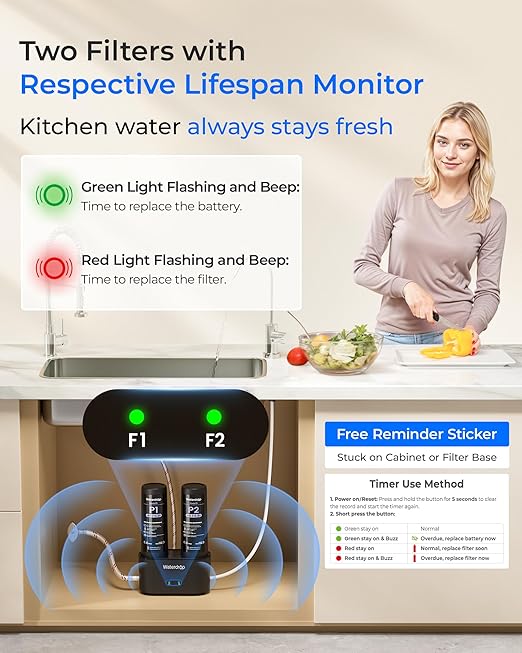Waterdrop DLG-P Under Sink Water Filter System, 2-Outlet Filter, Reduces PFOA/PFOS Chlorine Chloramine Fluoride Odor, Under Sink Water Filtration System with Dedicated Faucet, Life Indicator
