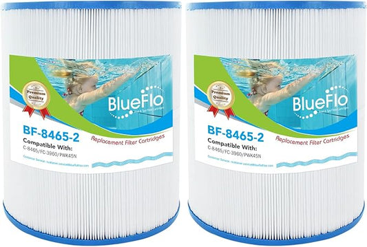 C-8465 Spa Filter Cartridge Replacement Compatible with Watkins 31114, Pleatco PWK65, Filbur FC-3960, 71827, 71828, Tiger River Spa Filter, Watkins 65 Sq.Ft Hot Tub, 2 Pack