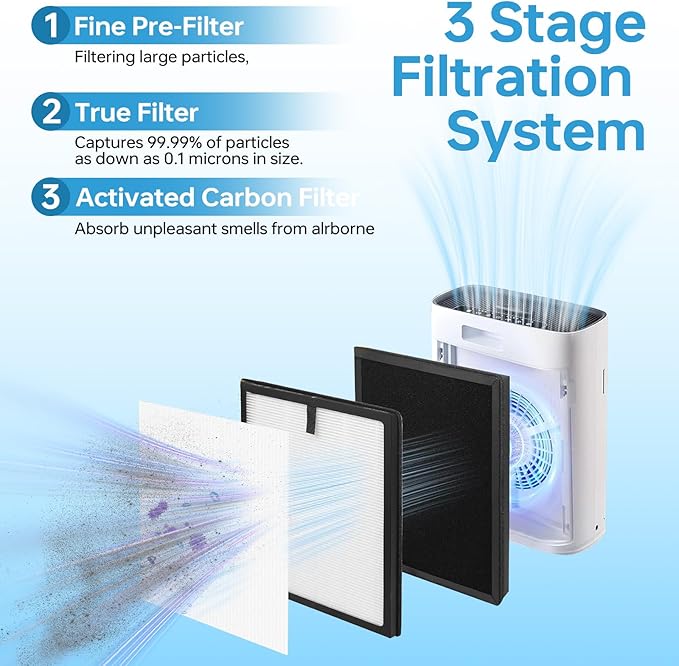 2 Pack HAP603 Replacement Filter Compatible with ECOSELF HAP603WF & HAP603 Air Purifi-er, H13 True Filter with Activated Carbon Replacement Filte