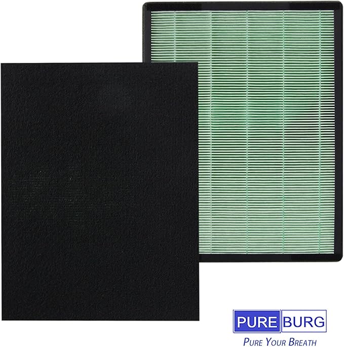 PUREBURG Replacement Filter Set Compatible with Coway Airmega 150 (AP-1019C) & Airmega 160 Air Purifiers, 2-Pack H13 HEPA + 8 x Activated Carbon Pre-Filter Air Clean