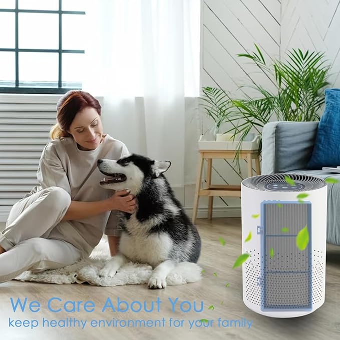 Improvedhand HAPF30AT Filter Replacement Compatible with Holmes AER1 Type Total Air Purifier, Fit for Holmes HAP242B-U HAPF30AT, 4 HEPA Filters and 8 Carbon Pre-Filters