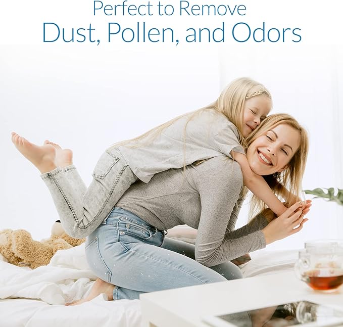 HPA300 HEPA Filter Replacement Compatible with Honeywell Air Purifiers by Airity | Honeywell Air Purifier Filter Replacement Compatible for Honeywell R Filter | Honeywell HPA300 Replacement Filters (6