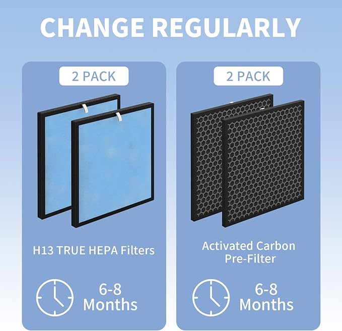 HSP001 Filter Replacements, 2 Pack