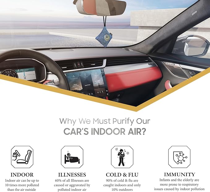 GOODAIR HEPA Car Air Purifier Bag & Pouch | 75g Activated Carbon Filter, Absorb Toxic Gases, 2.0 Premium Certified Air Purifier, Suitable for All Cars, 24/7 Air Purification - Elegant Silver