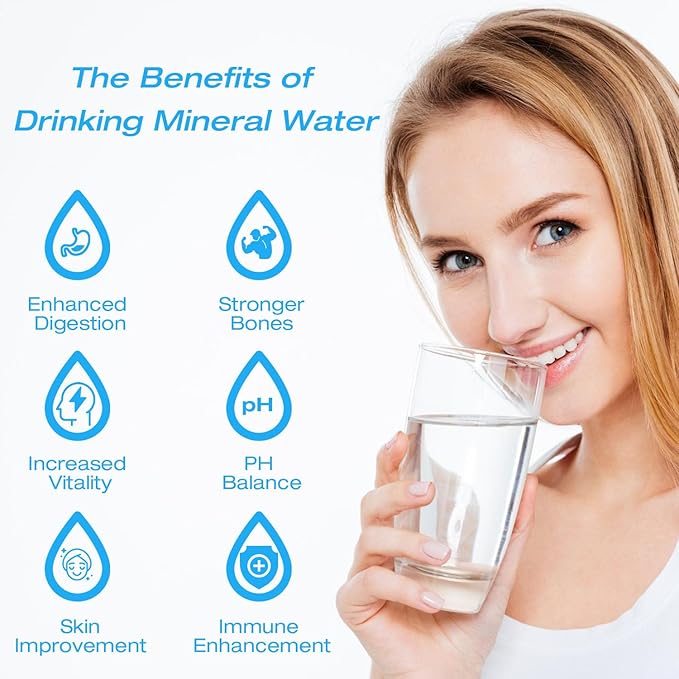 H&G Lifestyles Remineralization Filter,Water Remineralizer for Reverse Osmosis, Mineral Water Filter with 1/4" Quick Connect Thread, Restore Essential Minerals for RO Water System,1,500 Gallons