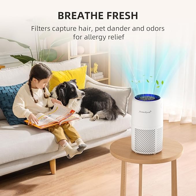 Air Purifier for Home Bedroom, AromaRoom H13 HEPA Air Filter For Smoke Pollen Dander Hair Smell Air Cleaner, 3-in-1 Filter with Sleep Mode, Quiet Air Cleaner For Pets, Home, Baby Room (White, AP103)