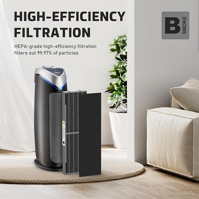Filter B Smoke Clear HEPA Replacement Compatible with AC4825 AC4300 AC4800 AC4900 AC4850, 2 True HEPA Filters & 6 Activated Carbon Pre-Filters, FLT4825SM, Black/Gray