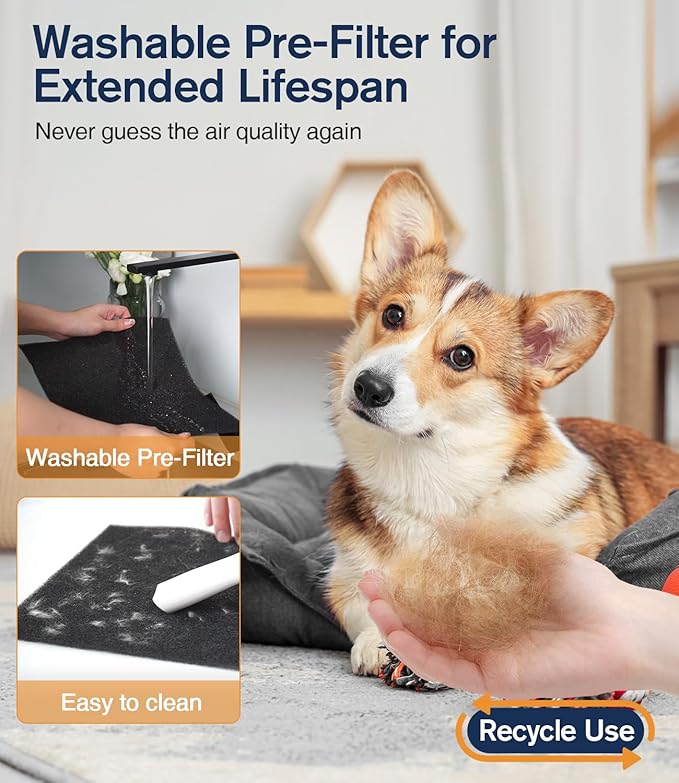 Air Purifiers for Home Large Room up to 3000sq.ft, DBFIT HEPA Double-Sided Air Purifier with Washable Filter, PM 2.5 Display Air Quality Sensor, Air Cleaner for Bedroom, Dorm Room, Pets, Office, AP300