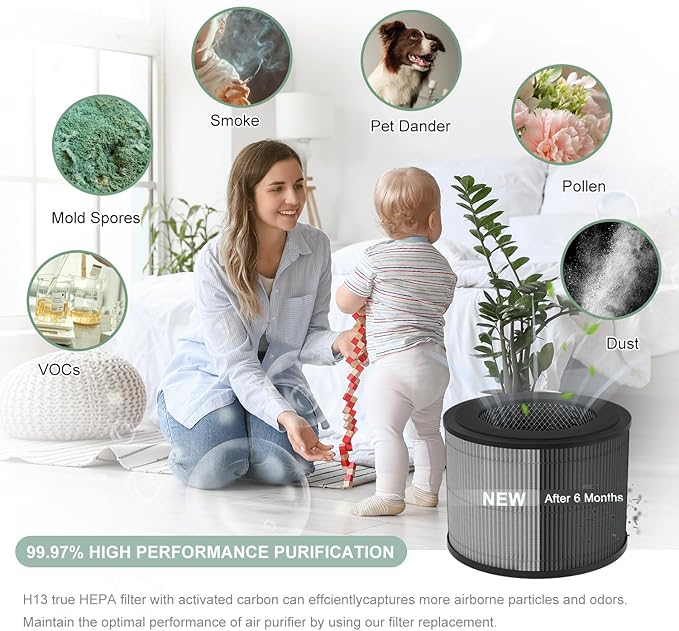 DR-HAP002 True HEPA Replacement Filter Compatible with Macro Pro, Macro Pro S DR-HAP002 Air Purifier, with 3 Stage Deep Filtration, Ultra Fine Pre-filter, High-Efficiency Activated Carbon Filter